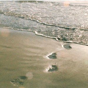 Meet your Posher, Billy